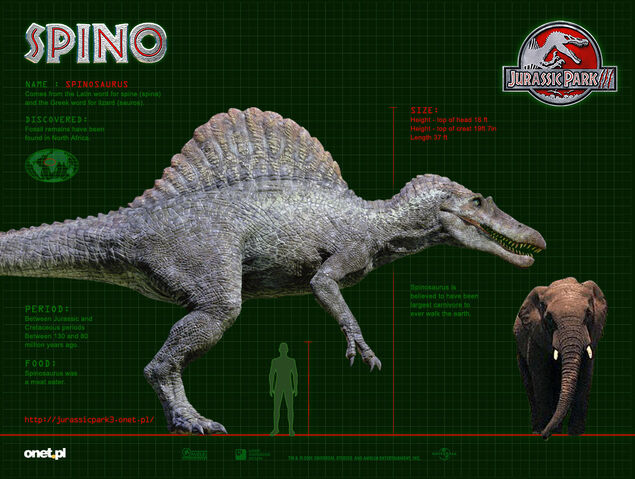 File:SPINO WP 1024.jpg