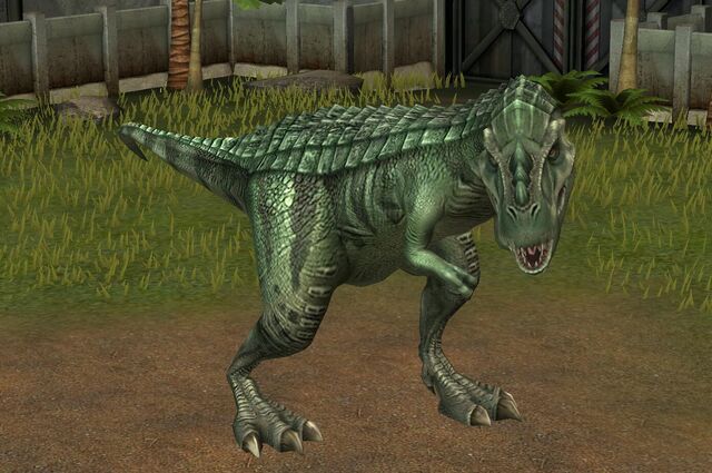 File:Gorgosaurus Libratus (14).jpg