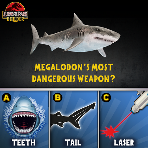 File:JPB Megalodon quiz 2.png