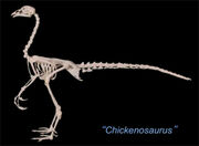 Chickenosaurus