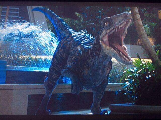 File:Echo roaring.jpg