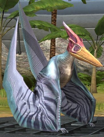 File:Pteranodon lvl 20.jpg