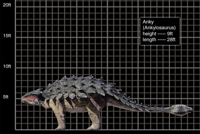 File:800x537 Ankylosaurus.jpg