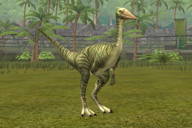 File:Pelecanimimus (16).jpg
