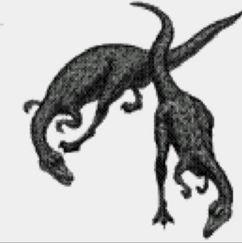 File:Procompsega3.png
