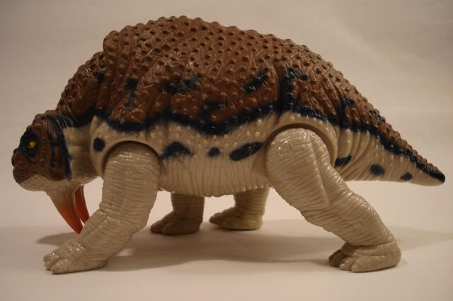 File:Scutoright.jpg