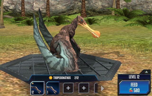 File:Tropeognathus 1S.jpg