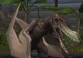 Coloborhynchus