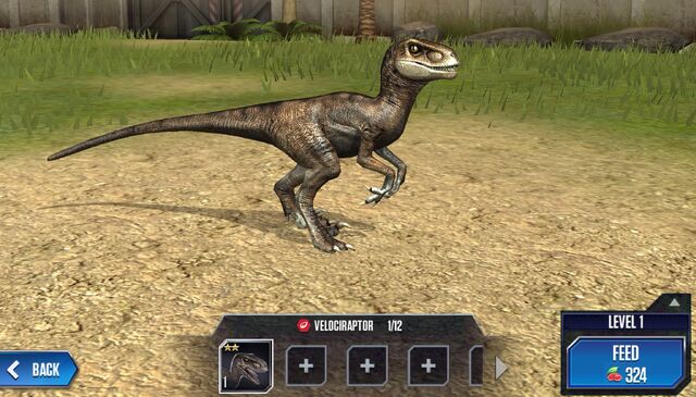 File:Velociraptor Base.jpg