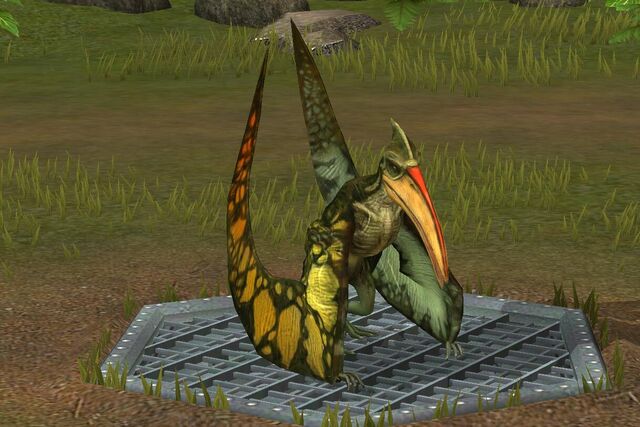 File:Pterodactylus (30).jpg