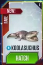 Koola.jpg
