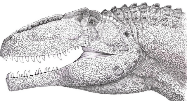 File:Giganotosaurus2.png