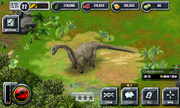 Camarasaurus