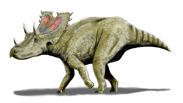 File:Agujaceratops.jpg