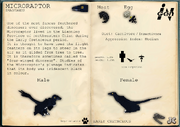 Ingen file microraptor by jurassicraftmod-dait5r6