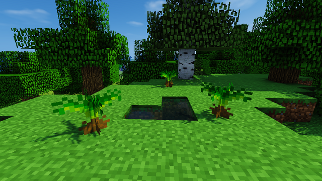 File:JC screenshot - Small Cycad.png