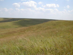 Dantari Prairie
