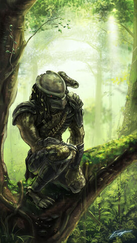 Predator