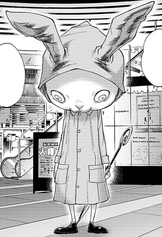 File:Hollow Rabbit.png