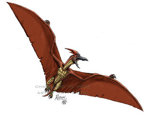 Original Rodan Neo