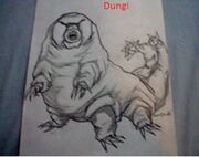 Dungi