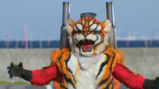 TigerRoidInKRTS