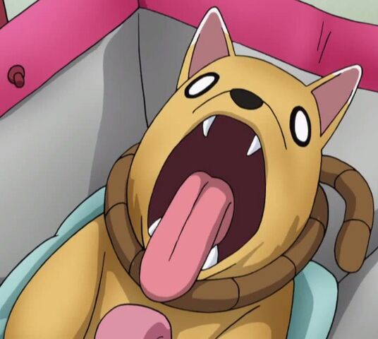 File:Strangled Stray Dog.jpg