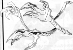 Nezard