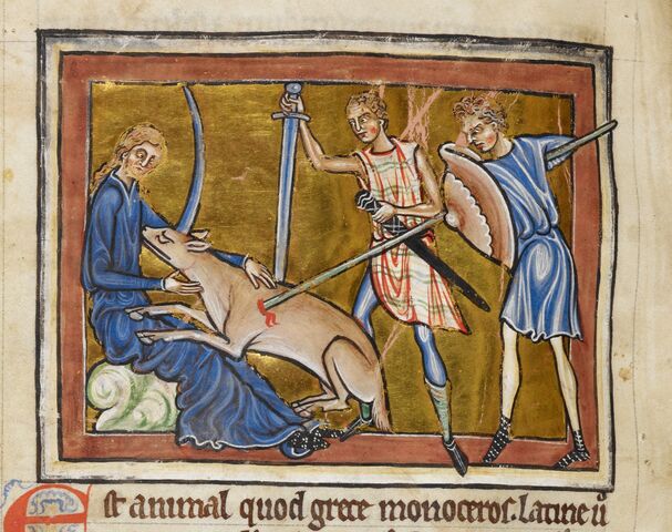 File:Unicorn Bestiary Royal 12 C XII f. 9v.jpg