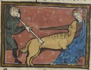 Bestiaire d'amour 2