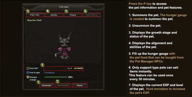 File:Basics 18.jpg