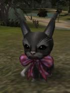 139px-Cat01.jpg