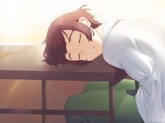 File:Rin nap total.jpg
