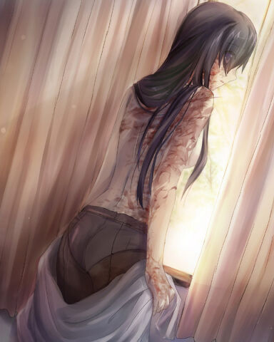File:Hanako scars large.jpg