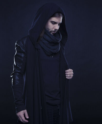 File:Seven Lions (blog image).jpg