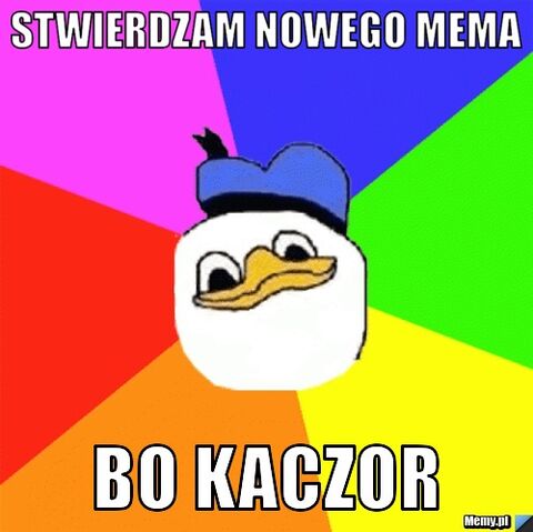 Plik:5.jpg