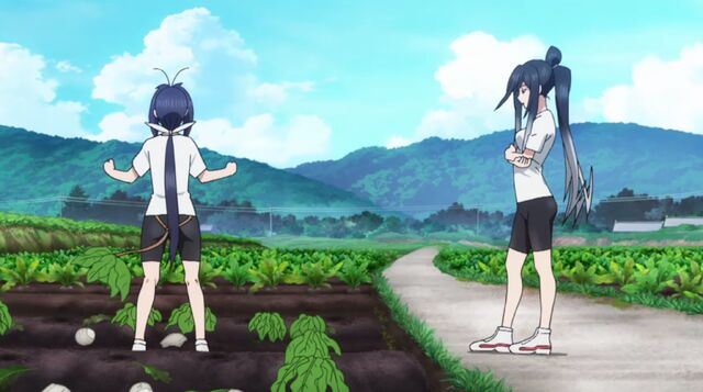File:Turnips.jpeg