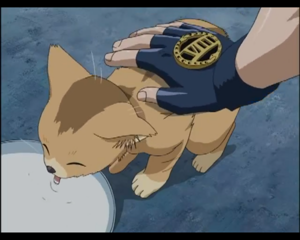 Archivo:Gato.png