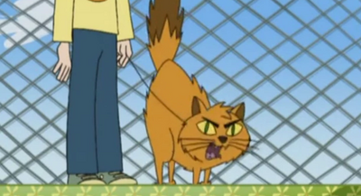CatScratchFeverCat