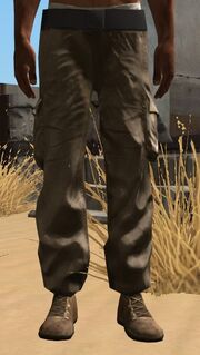 Cargopants