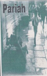 Scan 13