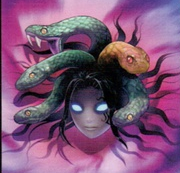 Medusa head art