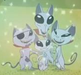 KatFamily