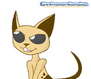 Kat's Brother