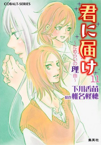 File:Kimi ni Todoke Light Novel v11 cover.png