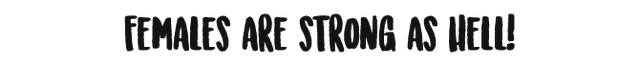 File:About.png