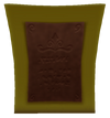 Coupe Pégase.png
