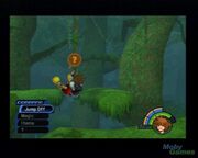 VineSwinging