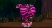 GatoR..png