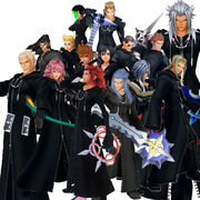 Organization 13